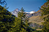 L'alta Val di Rhemes con in fondo il Granta Parey (3387 m).